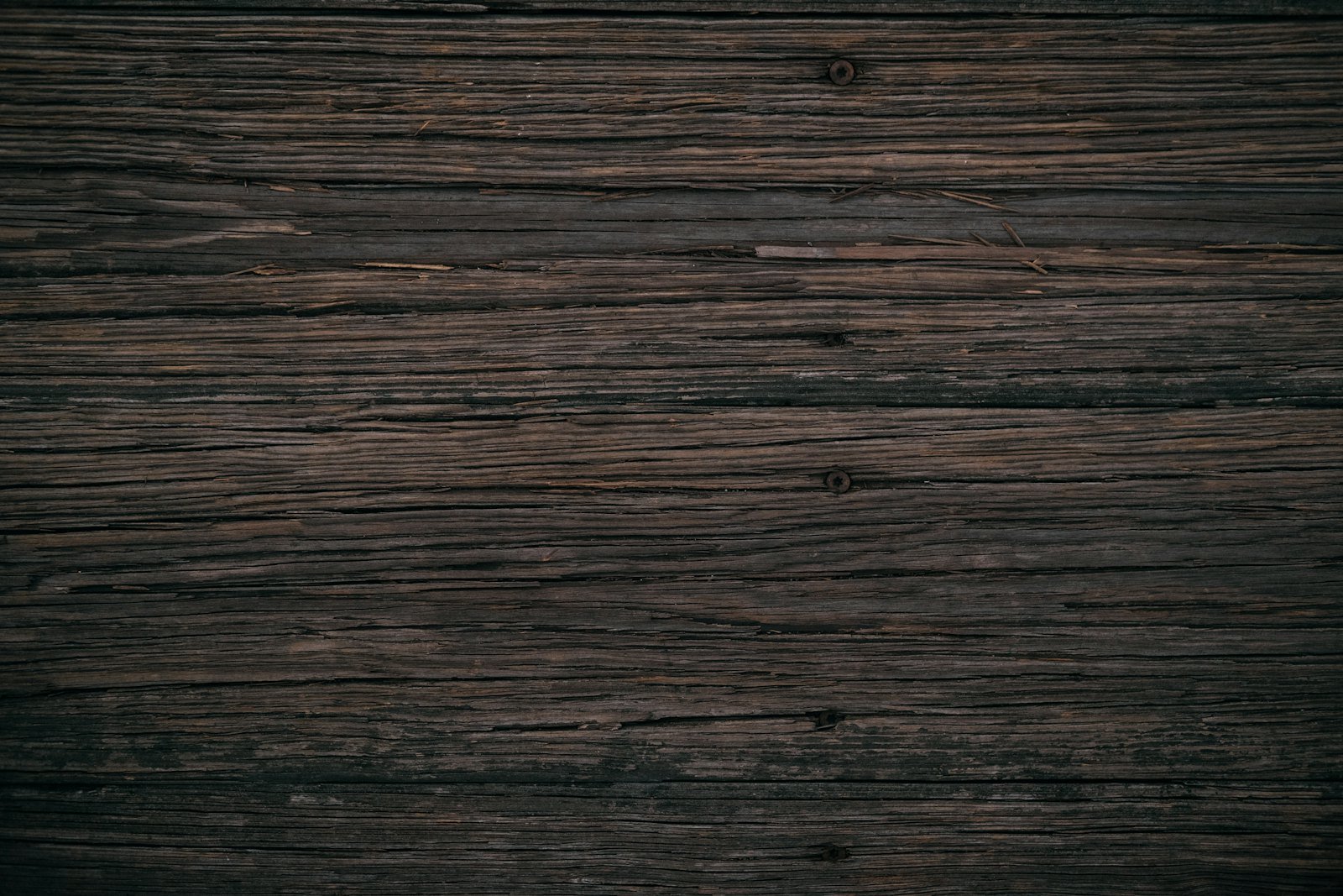Teak, Mahogany or Ash? How to choose the right wood for your home